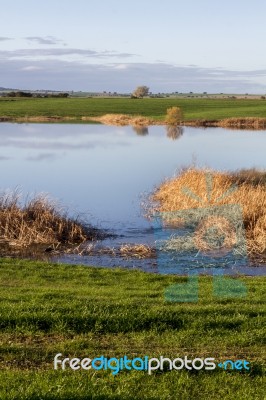 Spring Countryside Lake Landscape Stock Photo