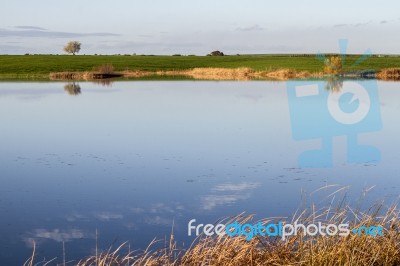 Spring Countryside Lake Landscape Stock Photo