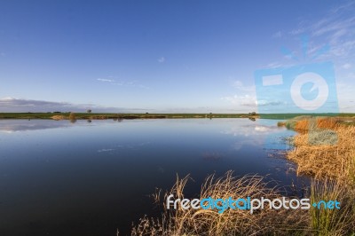 Spring Countryside Lake Landscape Stock Photo