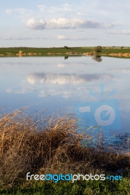 Spring Countryside Lake Landscape Stock Photo