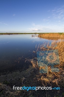 Spring Countryside Lake Landscape Stock Photo