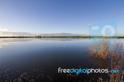 Spring Countryside Lake Landscape Stock Photo