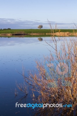 Spring Countryside Lake Landscape Stock Photo