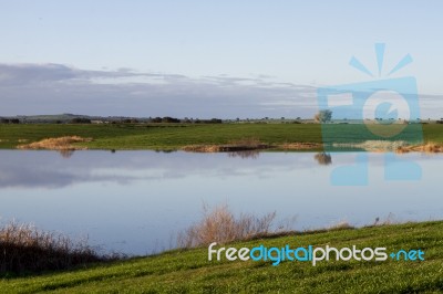 Spring Countryside Lake Landscape Stock Photo