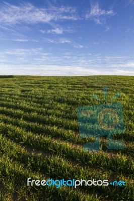 Spring Countryside Landscape Stock Photo