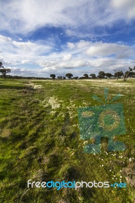 Spring Countryside Landscape Stock Photo