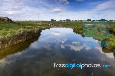 Spring Countryside Water Stream Landscape Stock Photo