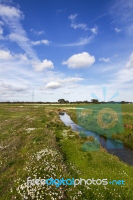 Spring Countryside Water Stream Landscape Stock Photo