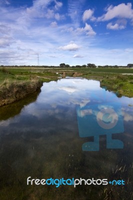 Spring Countryside Water Stream Landscape Stock Photo