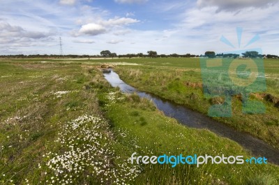 Spring Countryside Water Stream Landscape Stock Photo