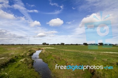 Spring Countryside Water Stream Landscape Stock Photo