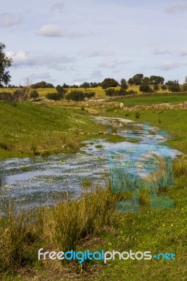 Spring Countryside Water Stream Landscape Stock Photo