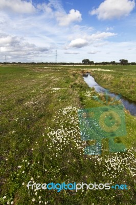 Spring Countryside Water Stream Landscape Stock Photo