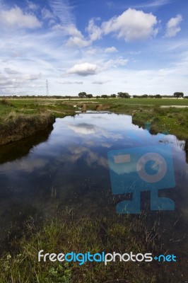 Spring Countryside Water Stream Landscape Stock Photo