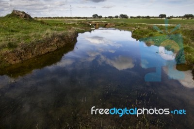 Spring Countryside Water Stream Landscape Stock Photo