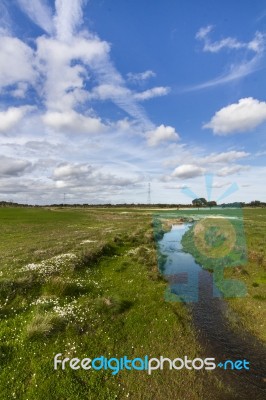 Spring Countryside Water Stream Landscape Stock Photo