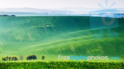 Spring Fields. Green Waves. Czech Moravia Hills Stock Photo