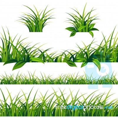 Spring Green Grass Borders Set Stock Image