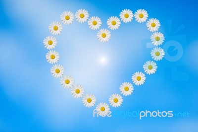 Spring Heart Stock Photo