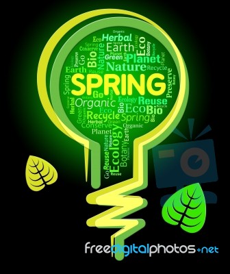 Spring Lightbulb Represents Outdoors Green And Springtime Stock Image