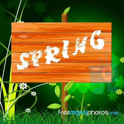 Spring Nature Shows Environment Warm And Warmth Stock Image