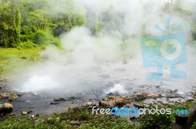 Spring Of Naturally Hot Water Stock Photo