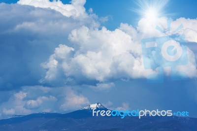 Spring Sunny Day Stock Photo