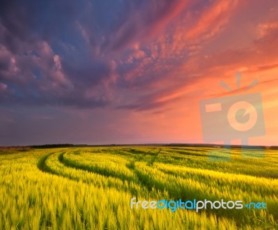 Spring Sunset Stock Photo