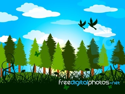 Spring Trees Represents Treetops Forestation And Countryside Stock Image