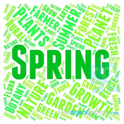 Spring Word Meaning Season Springtide And Words Stock Image