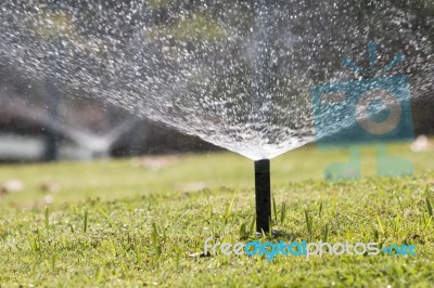 Sprinkler Head Watering In Park Stock Photo