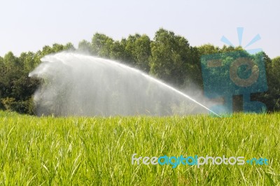 Sprinkler Watering The Grass Stock Photo