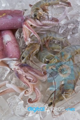 Squid and Prawn preserving in ice Stock Photo