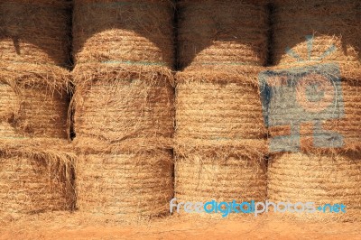 Stack Dry Hay In Barn Stock Photo