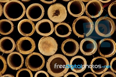 Stack Of Bamboo Cuts Stock Photo