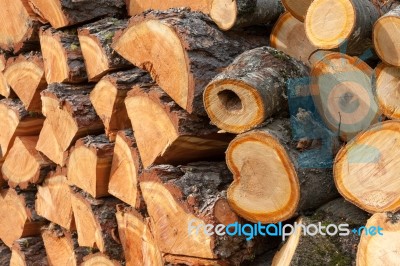 Stack Of Logs Stock Photo