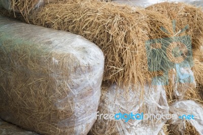 Stacked Blocks Of Bales Hay Stock Photo