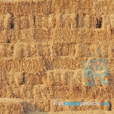 Stacked Hay Bales Stock Photo