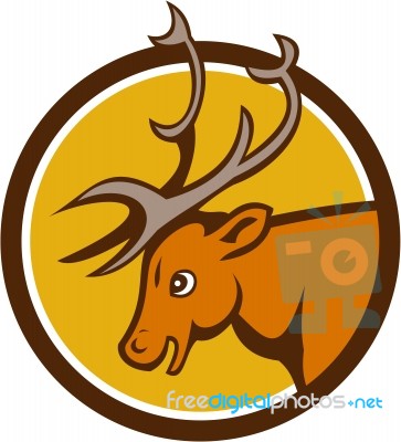 Stag Deer Buck Head Circle Cartoon Stock Image