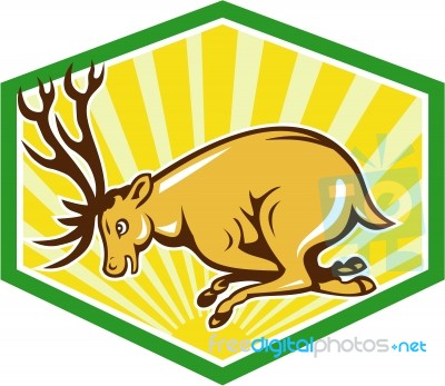 Stag Deer Charging Side Cartoon Stock Image