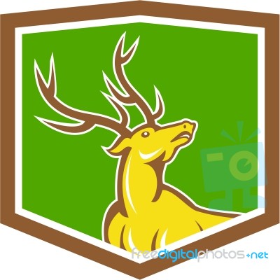 Stag Deer Looking Up Shield Cartoon Stock Image