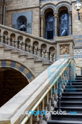 Staircase At The Natural History Museum In London Stock Photo