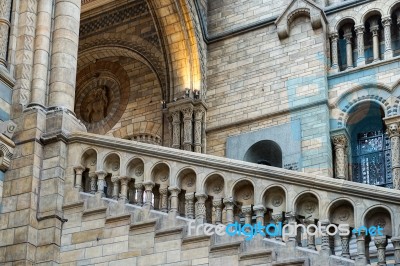 Staircase At The Natural History Museum In London Stock Photo