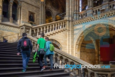 Staircase At The Natural History Museum In London Stock Photo