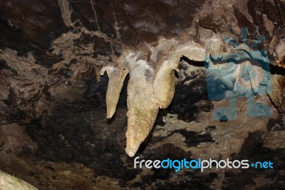 Stalactite At White Scar Caves Stock Photo