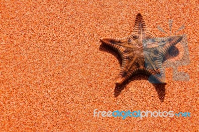 Star Fish Background Stock Photo