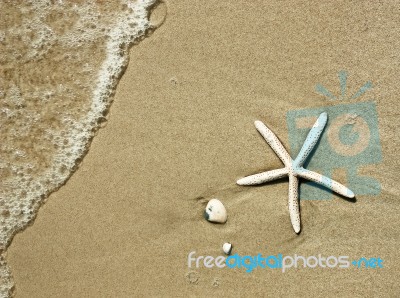 Starfish On Sand Stock Photo