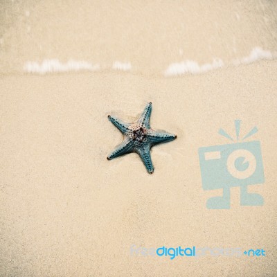 Starfish On The Beach Sand. Close Up Stock Photo