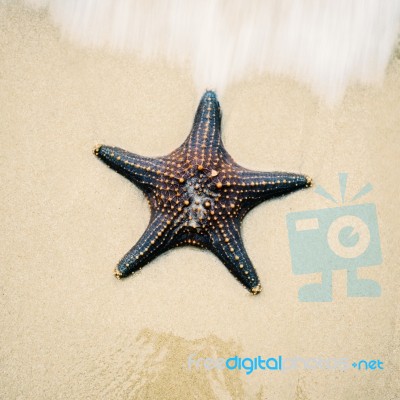 Starfish On The Beach Sand. Close Up Stock Photo