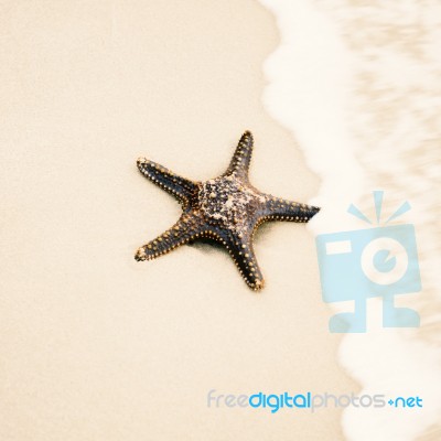 Starfish On The Beach Sand. Close Up Stock Photo